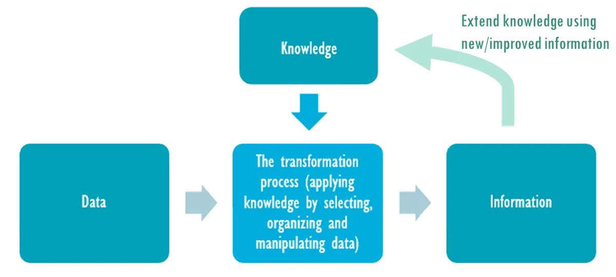 Why we need information systems